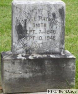 Horace Raymond Smith