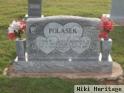 Barbara Ann Ogle Polasek