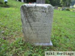 Hiram Hamilton