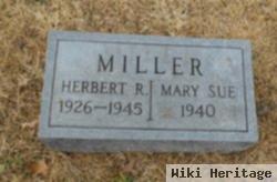 Mary Sue Miller