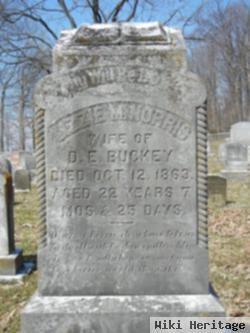 Maria Elizabeth "lizzie" Norris Buckey