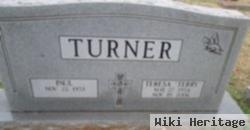 Teresa Ann "terry" Turner