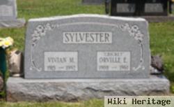 Vivian M. Hendrickson Sylvester