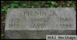 Anna Pieninck