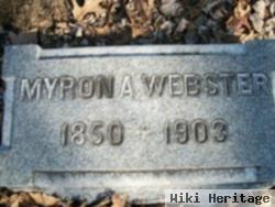 Myron A Webster