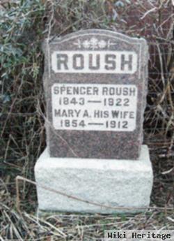 Mary Ann Gray Roush