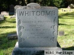 Ada E. Whitcomb