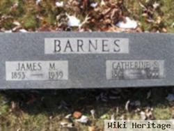 James M Barnes
