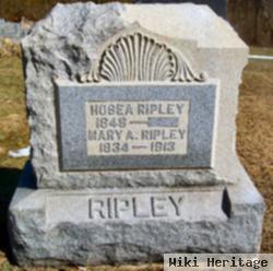 Hosea Ripley