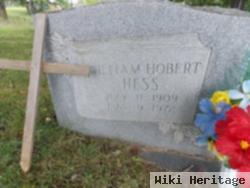 William Hobert Hess