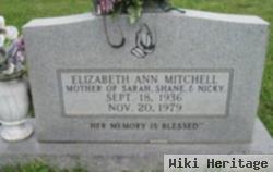 Elizabeth Ann Mitchell