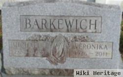 Michael J Barkewich