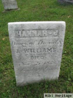 Hannah J. Williams