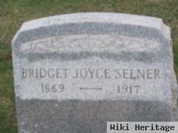 Bridget Joyce Selner