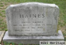 John David Haines