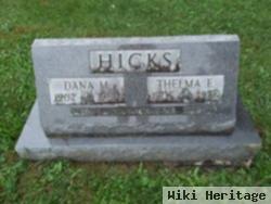 Dana Minter Hicks