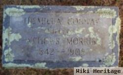 Tremilla Conway Morris