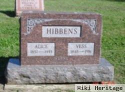 Sylvester R "vess" Hibbens