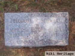 Theodore R. Schwartz