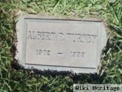 Albert P Turney