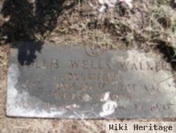 Hollis Wells Walker