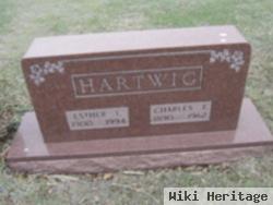 Dr Charles F Hartwig