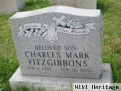 Charles Mark Fitzgibbons