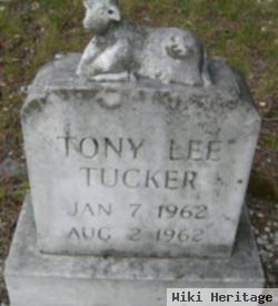 Tony Lee Tucker