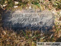 Godfrey Joseph Horacek