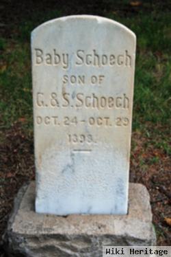 Baby Schoech