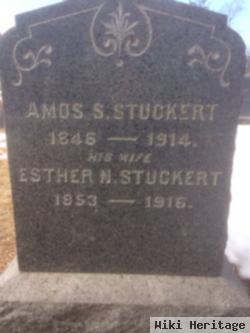 Amos Scarborough Stuckert