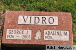 George J Vidro