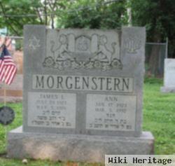 Ann Morgenstern