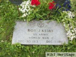 Roy John Kesby