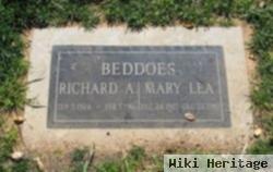 Richard A Beddoes