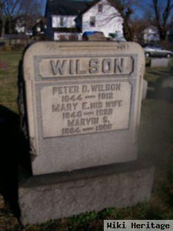 Peter D. Wilson