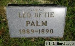 Leo Oftie Palm