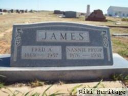 Nannie Pryor James