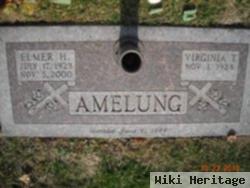 Elmer H. Amelung