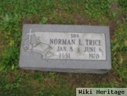 Norman L Trice