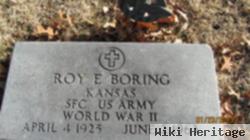 Roy Eugene Boring