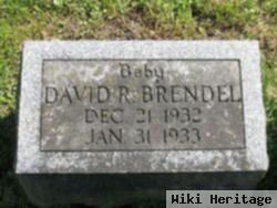 David Riley Brendel