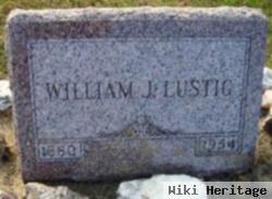 William J Lustig