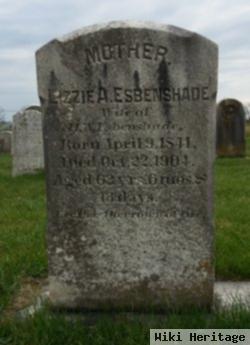 Elizabeth A "lizzie" Girvin Esbenshade