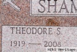 Theodore S Shambo