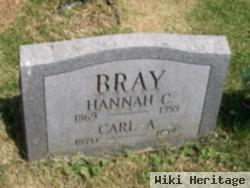 Carl A Bray