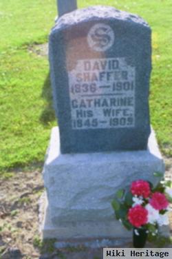 David Shaffer