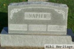Infant Daughter Napier
