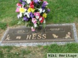 Earl S. Hess