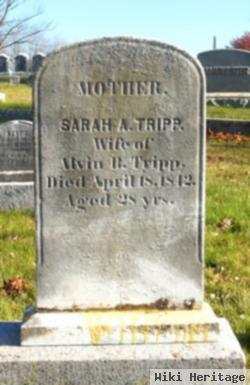 Sarah A Macomber Tripp